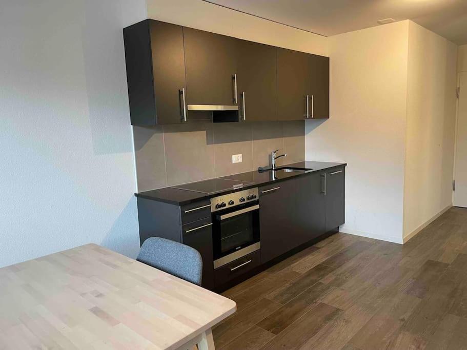 Proche Lausanne: Studio Bien Equipe Daire Prilly Dış mekan fotoğraf